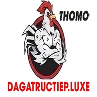 ĐÁ GÀ TRỰC TIẾP LUXE