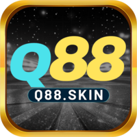 q88 skin