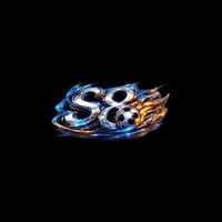 S8 